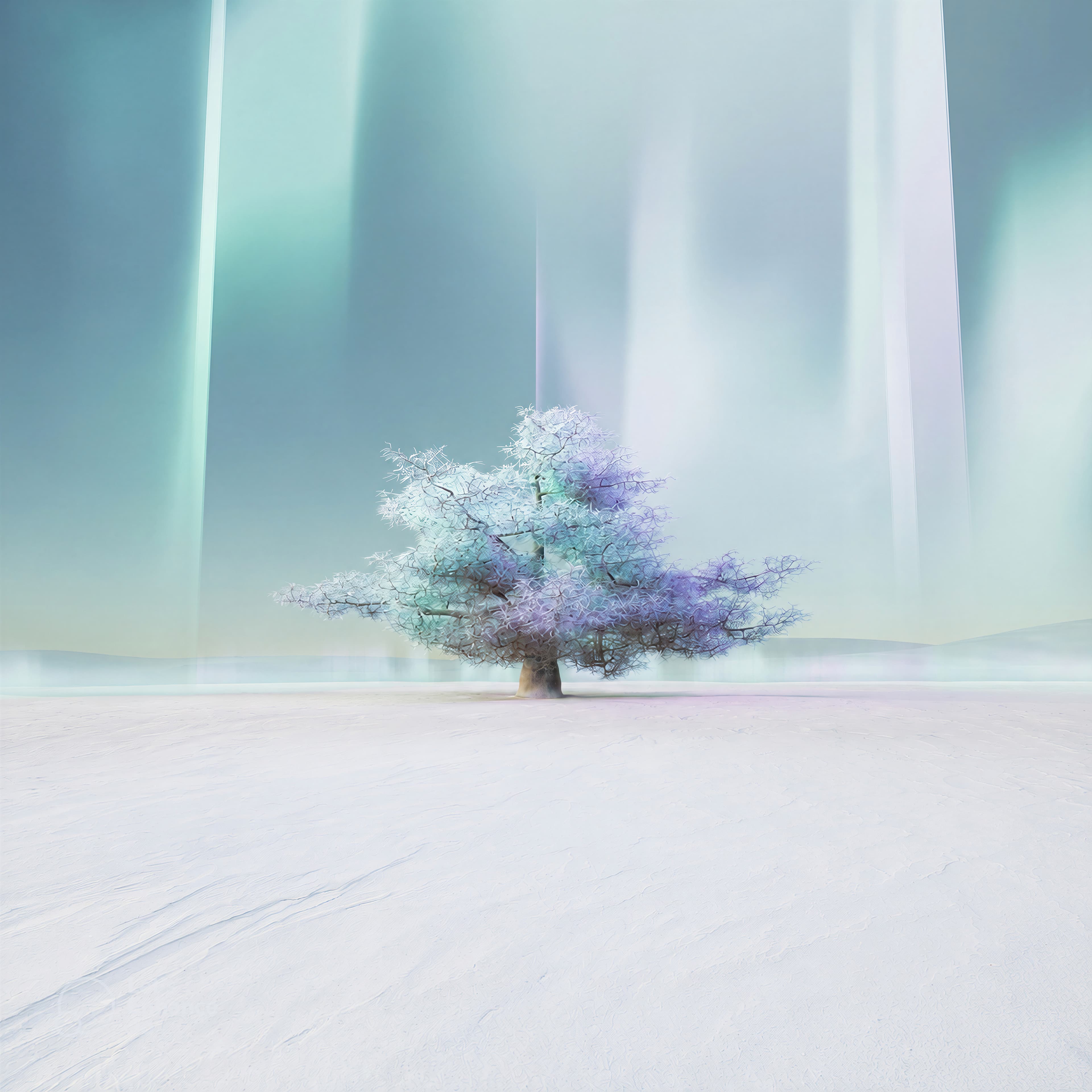 A lone tree on a snow plain under aurora light